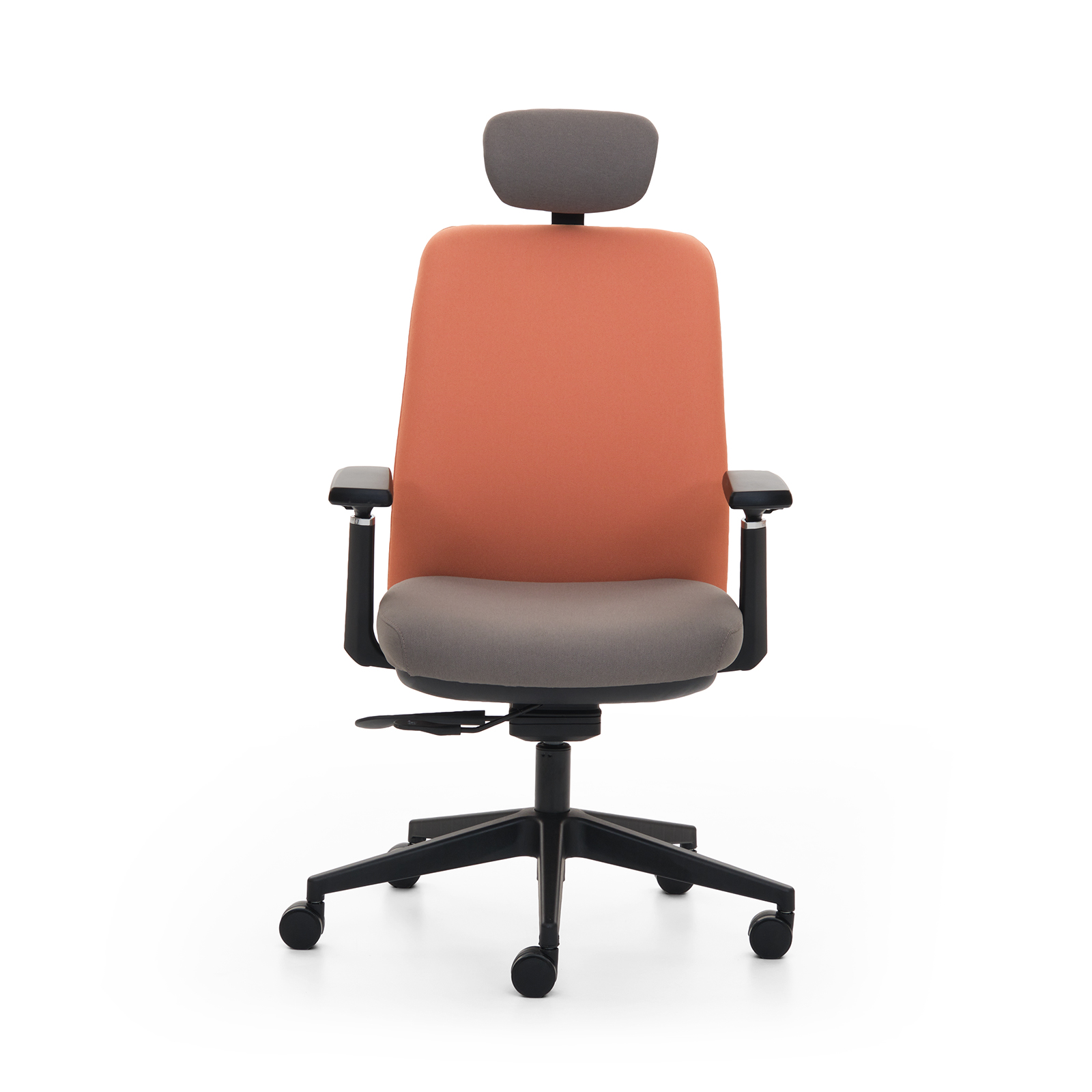 Fera Rəhbər Kreslosu 1