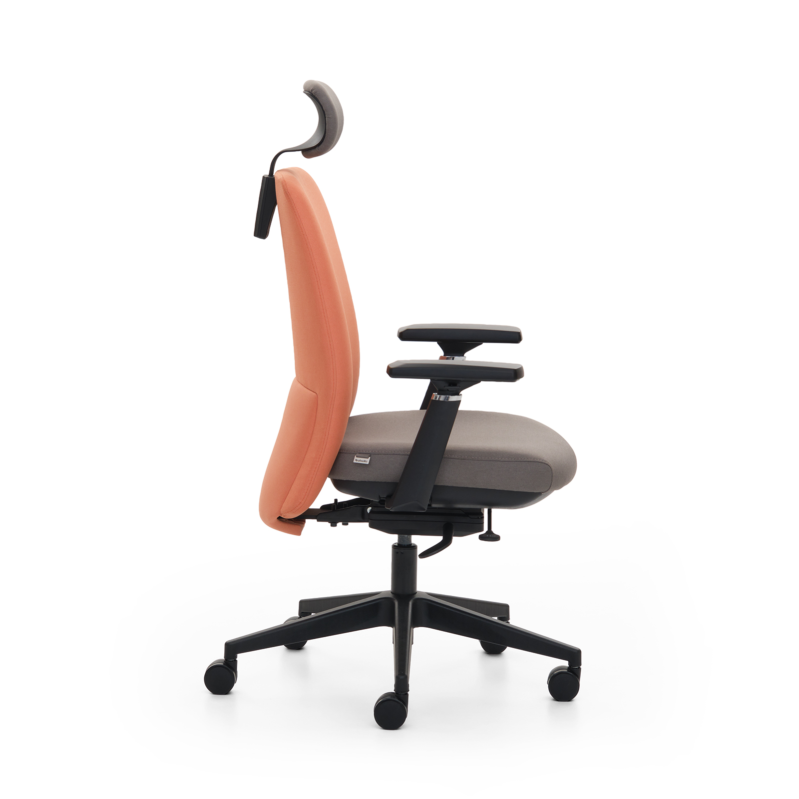 Fera Rəhbər Kreslosu 3