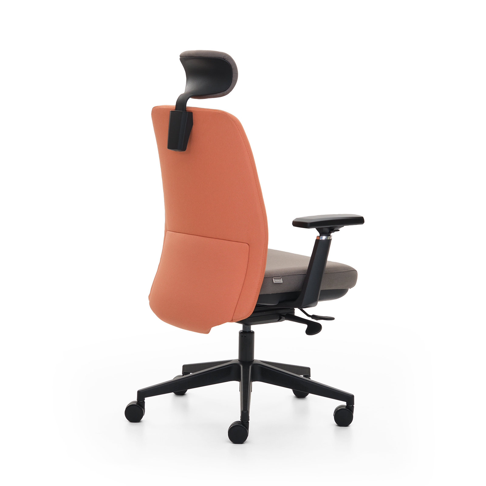 Fera Rəhbər Kreslosu 4